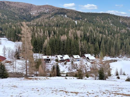 an aerial view of a house in the snow at Haus Klinsterwald in Sankt Oswald