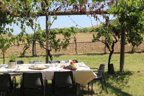 a table with food on it in a field at La Casa nell'Orto in Fermo