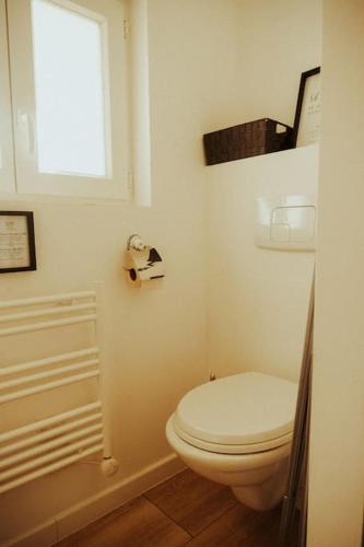 a bathroom with a white toilet and a window at Le Petit Gîte Cieuracois in Cieurac
