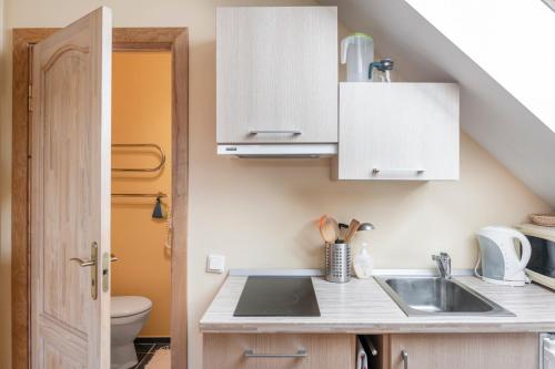 a small kitchen with a sink and a toilet at Provincija in Palanga