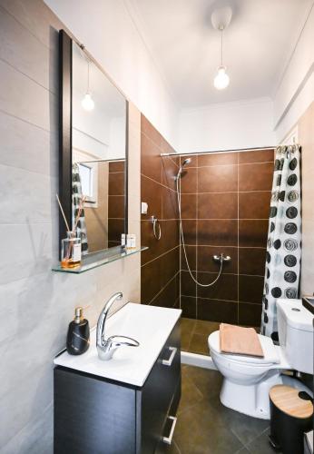 a bathroom with a sink and a toilet and a mirror at Apricus Apartments in Apolpaina