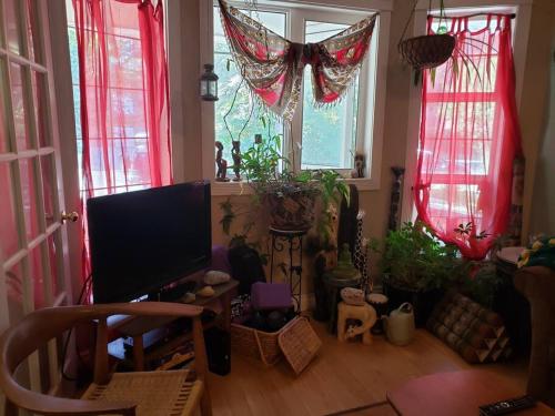a living room filled with lots of plants and windows at Mission Historical Home in Calgary
