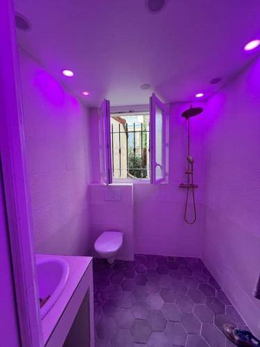 une salle de bains pourpre avec un lavabo et des toilettes. dans l'établissement Studio de charme centre paris 10 min de république, à Paris