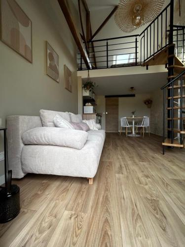 L'arbre de soie Futuroscope Albizia