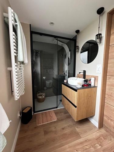 une salle de bain avec une douche, un lavabo et un miroir dans l'établissement L'arbre de soie Futuroscope Albizia, à Vouillé