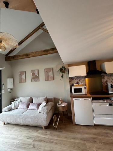 un salon avec un canapé et une cuisine dans l'établissement L'arbre de soie Futuroscope Albizia, à Vouillé