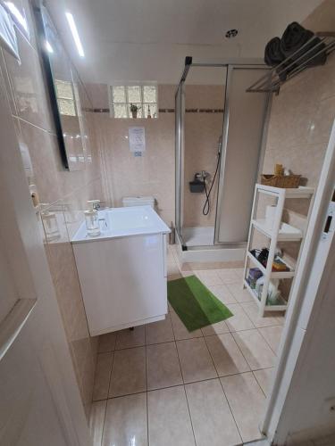 une salle de bain avec une douche, un lavabo et des toilettes dans l'établissement Les Loulous, à Ceyreste