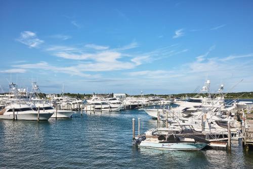 a bunch of boats docked in a harbor at Montauk Yacht Club in Montauk