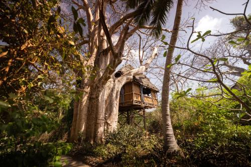a tree house in the middle of a forest at Chole Mjini Treehouses Lodge in Utende