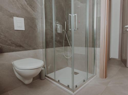 a bathroom with a toilet and a glass shower at Alexander House Hotel in San Ferdinando