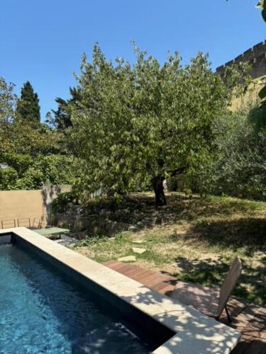 une piscine avec deux chaises et un arbre dans l'établissement L'Echauguette, villa de luxe avec piscine, à Carcassonne