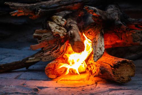 Galeriebild der Unterkunft Kampala Farm in Bonnievale