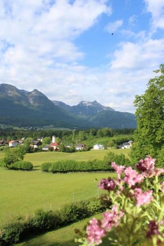 Apartment - Am Buchenhof