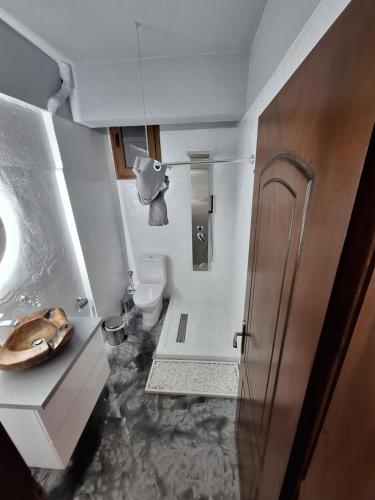 a small bathroom with a toilet and a sink at Rousis's Manor House in Parga