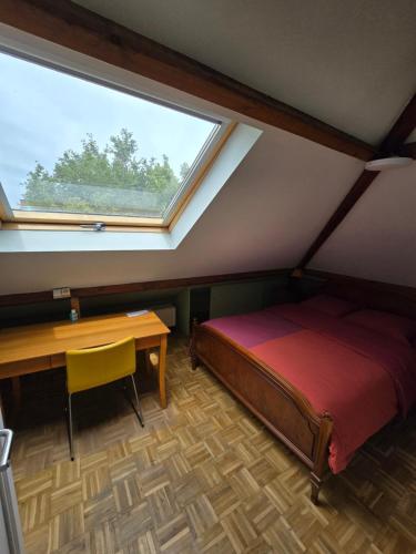 a bedroom with a bed and a desk and a window at Fomed in Brussels