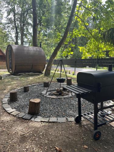 a grill and a picnic table in a park at Mókus Vendégház in Doboz