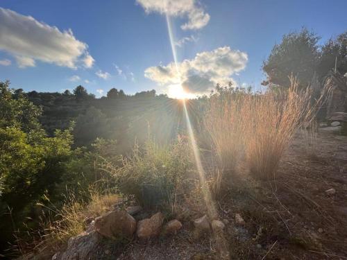 Gallery image of FARMSKY 2 Double or Triple Room at WILDSPIRIT Eco Farm in Villanueva de Alcolea