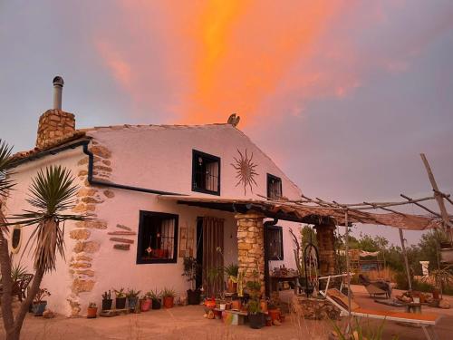 Gallery image of FARMSKY 2 Double or Triple Room at WILDSPIRIT Eco Farm in Villanueva de Alcolea