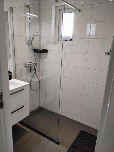 a bathroom with a glass shower and a sink at Vakantiepark Eysinga State Huize Anna in Sint Nicolaasga