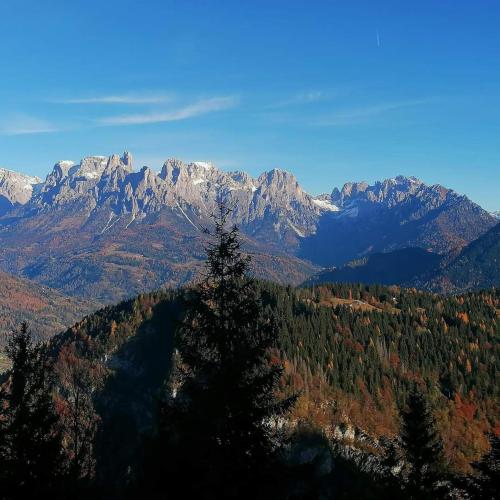 a view of a mountain range with a tree at B&B Sass de Mura in Fiera di Primiero