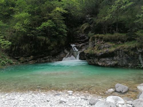 a waterfall in the middle of a river at B&B Sass de Mura in Fiera di Primiero