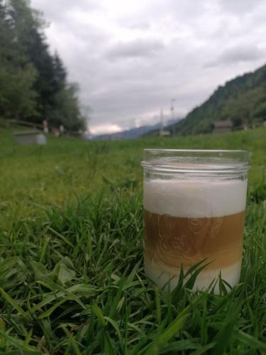 a jar of liquid sitting in the grass at B&B Sass de Mura in Fiera di Primiero