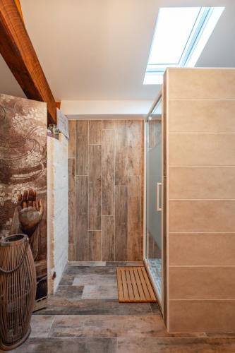 une chambre avec douche avec puits de lumière dans l'établissement Les Greniers Du Château, à Domazan