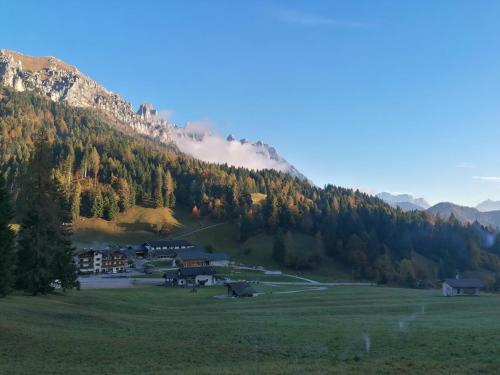 a village in front of a mountain with trees at B&B Sass de Mura in Fiera di Primiero