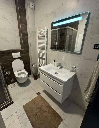 a bathroom with a sink and a toilet and a mirror at Penthouse Apartman Bulevar Sarajevo in Sarajevo