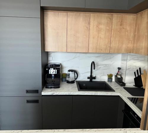 a kitchen with a sink and a counter top at Penthouse Apartman Bulevar Sarajevo in Sarajevo