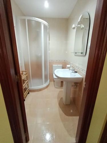 a bathroom with a shower and a sink and a toilet at Casa independiente Solana in O Lourido