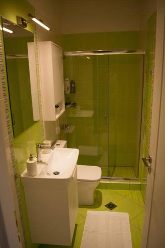 a bathroom with a toilet and a sink and a shower at Διαμέρισμα με αυλή in Nafpaktos