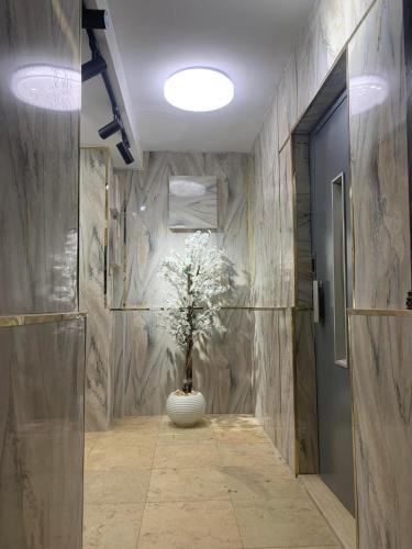 a hallway with a vase with a plant in it at شقة المهندسين in Cairo