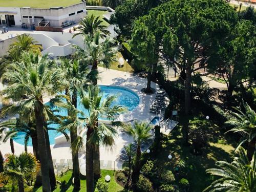 Una vista aérea de la piscina de un resort con palmeras. en CANNES CROISETTE Sea & Sky, en Cannes
