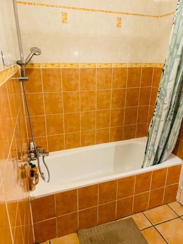 une salle de bain avec baignoire et douche dans l'établissement Charmante maison de village, à Villelaure