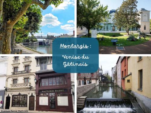 a collage of photos with a river and buildings at NETFLIX and CHILL, Maison duplex in Montargis