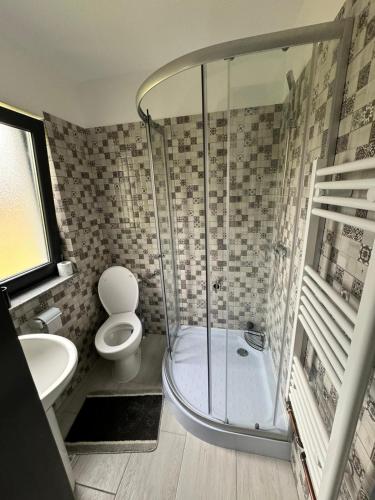a bathroom with a shower and a toilet and a sink at La Ilie la spălătorie in Broşteni
