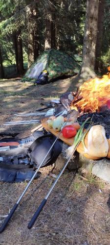 a pile of food on the ground next to a fire at President Kop Apartman 106 in Kopaonik