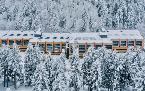 冬のMitarbi Ski Apartmentの様子