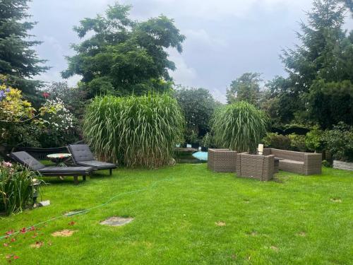 a garden with a bench and a hose at Domek wakacyjny in Lubin