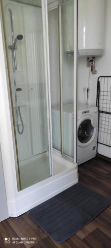 a shower with a glass door next to a washing machine at Karavan mezi vinohrady in Dolní Bojanovice