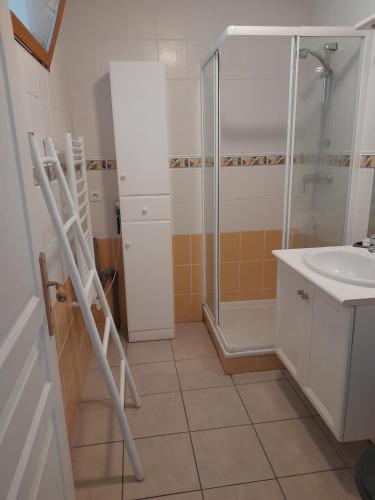 une salle de bain avec douche et lavabo dans l'établissement La Metairie de Biaudos, à Biaudos
