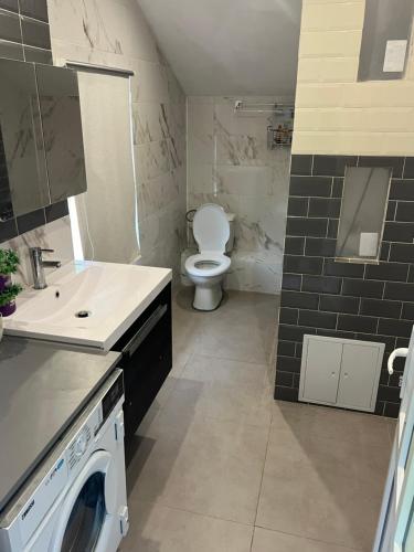 a bathroom with a toilet and a sink and a washing machine at Yorulmaz Forest in Buhoci