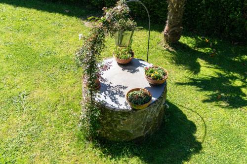three potted plants sitting on a table in the grass at Casa Rural Laxido in Rianjo
