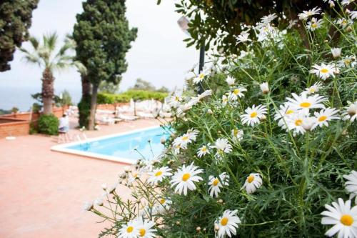 a bunch of white flowers next to a swimming pool at Grand Hotel Miramare in Taormina