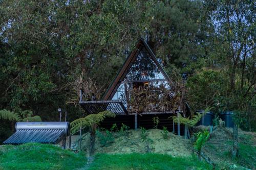 a small house on top of a hill with trees at Kavas Natural Connection in Salento