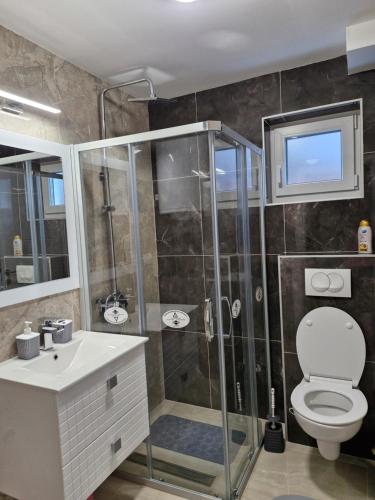 a bathroom with a shower and a toilet and a sink at Apartman Curcic 1 in Soko Banja