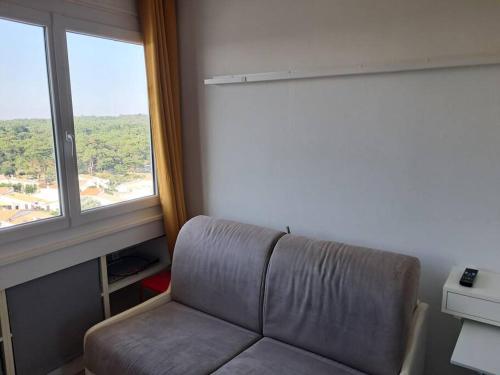 Χώρος καθιστικού στο Studio Arc En Ciel 1 - 25 allée des Pinons - 9-1