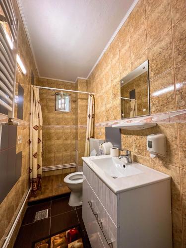 a bathroom with a sink and a toilet at Perla Brazilor in Frumosu
