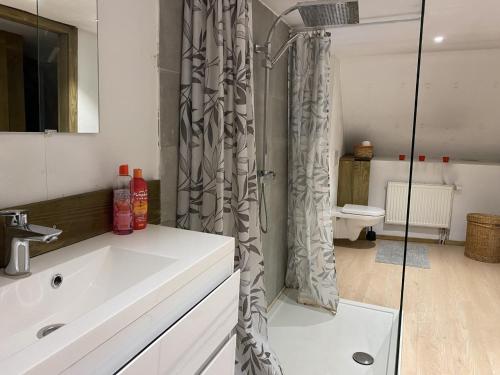 a bathroom with a sink and a shower at Ferme de Filot 2 in Filot